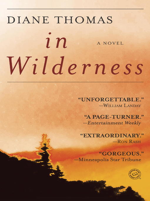 Cover image for In Wilderness